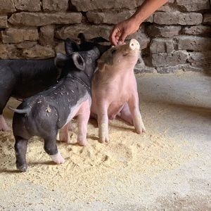 Meet your Posher, Caitlin